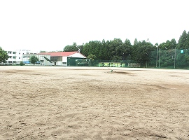 野球場の写真