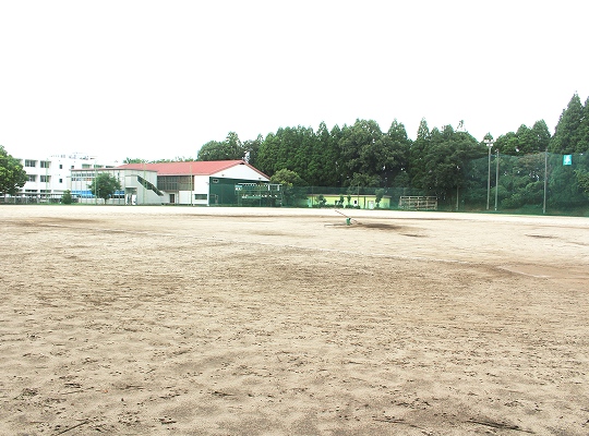 野球場の写真